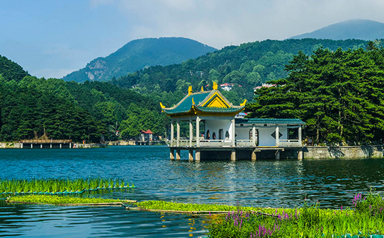 【庐望婺|3天】庐山·望仙谷·婺源篁岭·景德镇 3天2晚游